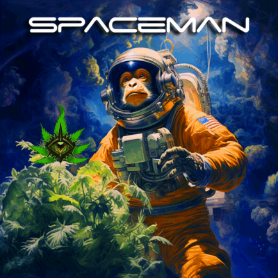 MonkeySpacemansmall