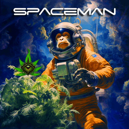 MonkeySpacemansmall